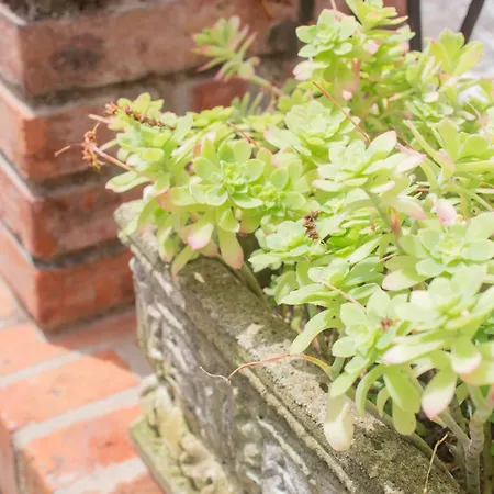 Casa Antica Pietra * Spilimbergo